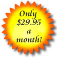 Your Own Online Odering System for Less  Than $1.00 a day!